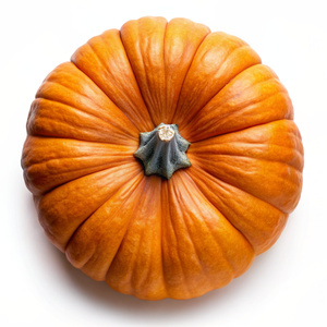 pumpkin, looking at it from the top on white background clip art